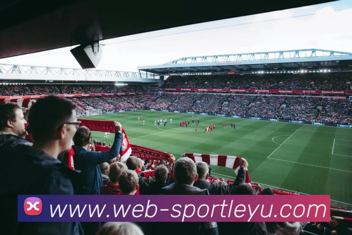 App Interface Preview