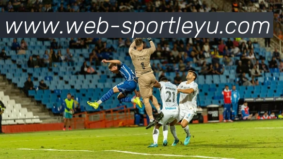 乐鱼体育APP 封面图