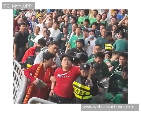 致敬石家庄铁人球迷你们与我们共度风雨携手并肩永远是最棒的第十二人 致敬石家庄铁人球迷你们与我们共度风雨携手并肩永远是最棒的第十二人